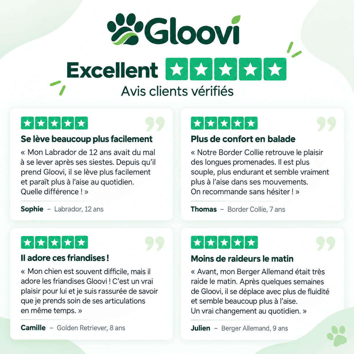Bouchées Articulations & Mobilité pour Chiens