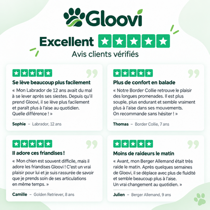 Bouchées Articulations & Mobilité pour Chiens