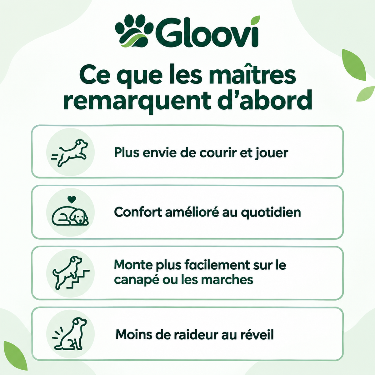 Bouchées Articulations & Mobilité pour Chiens