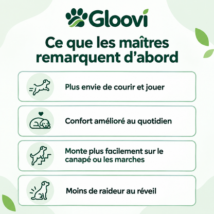 Bouchées Articulations & Mobilité pour Chiens