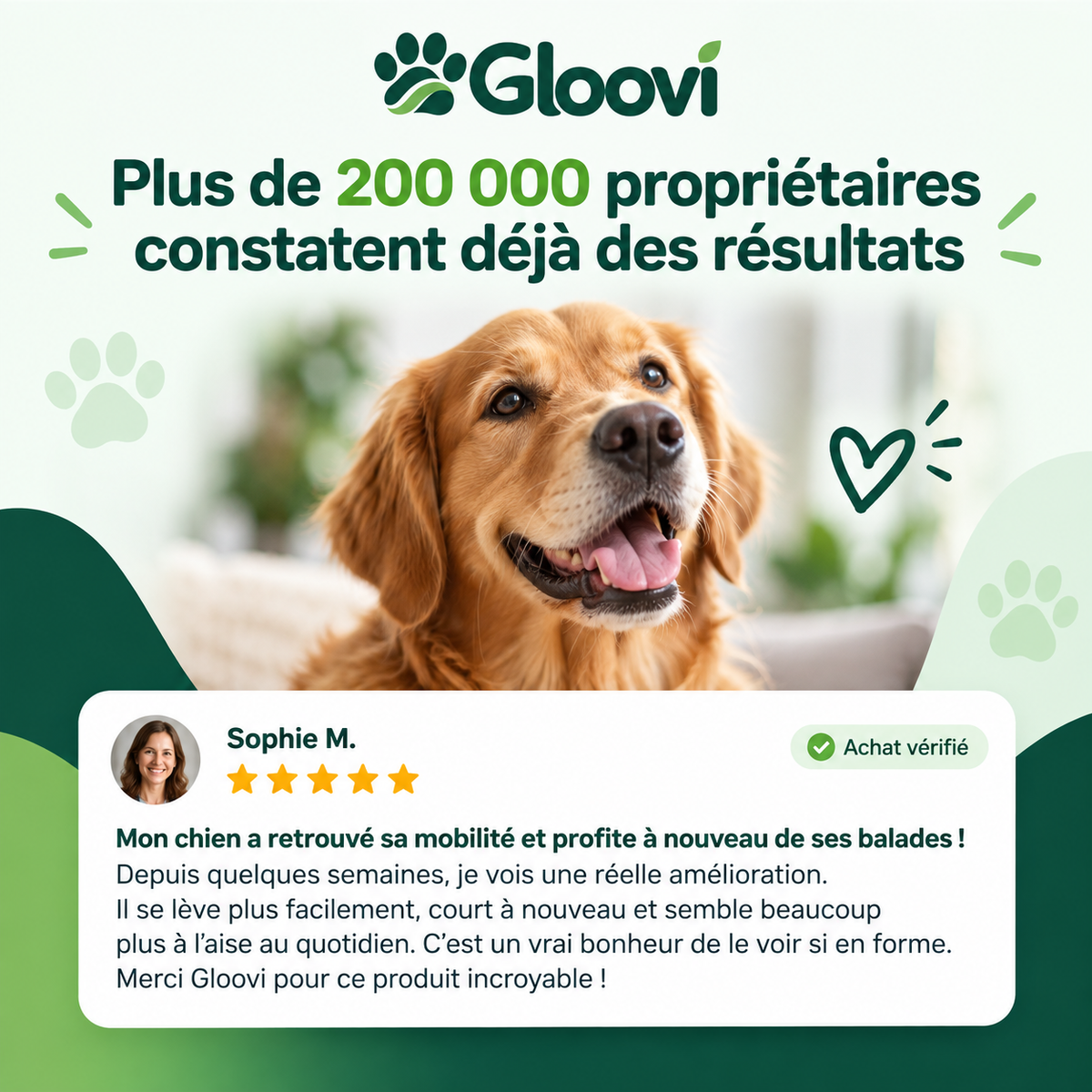Bouchées Articulations & Mobilité pour Chiens