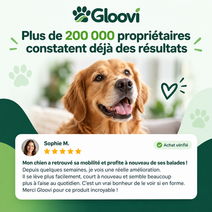 Bouchées Articulations & Mobilité pour Chiens