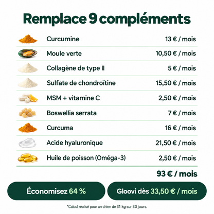 Bouchées Articulations & Mobilité pour Chiens