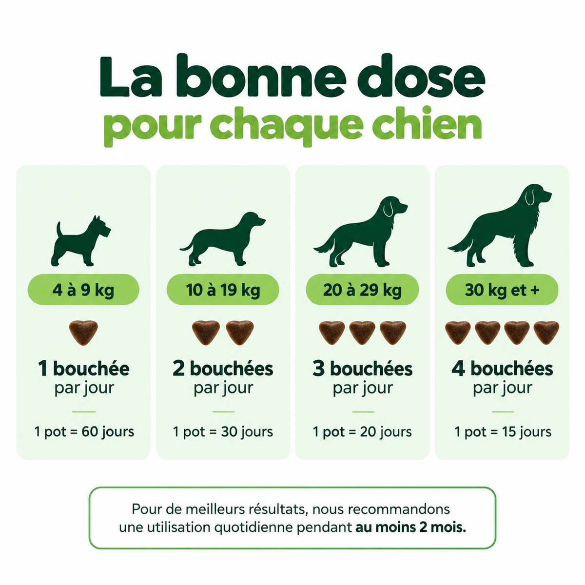 Bouchées Articulations & Mobilité pour Chiens