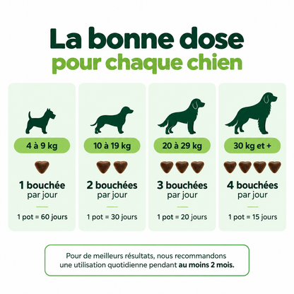 Bouchées Articulations & Mobilité pour Chiens
